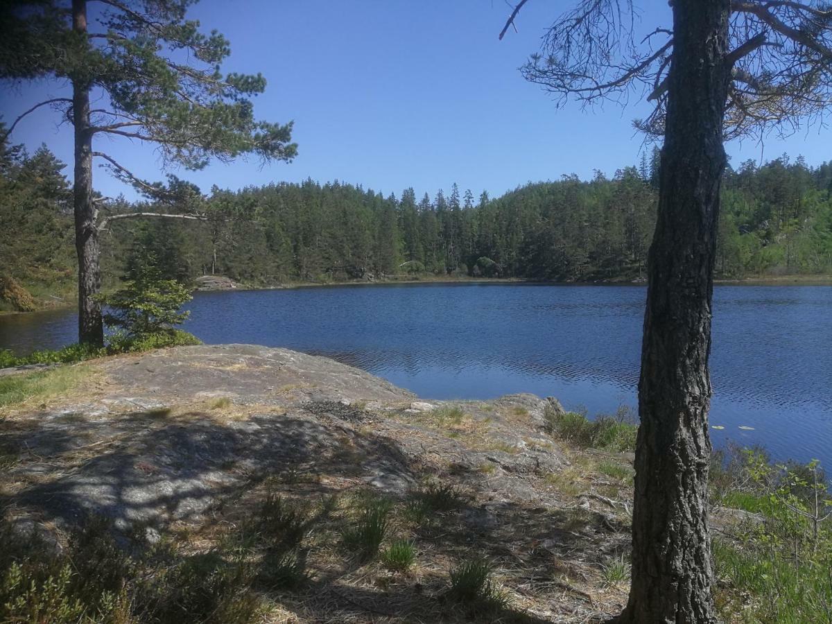 Отель Hagen Vennesla Экстерьер фото